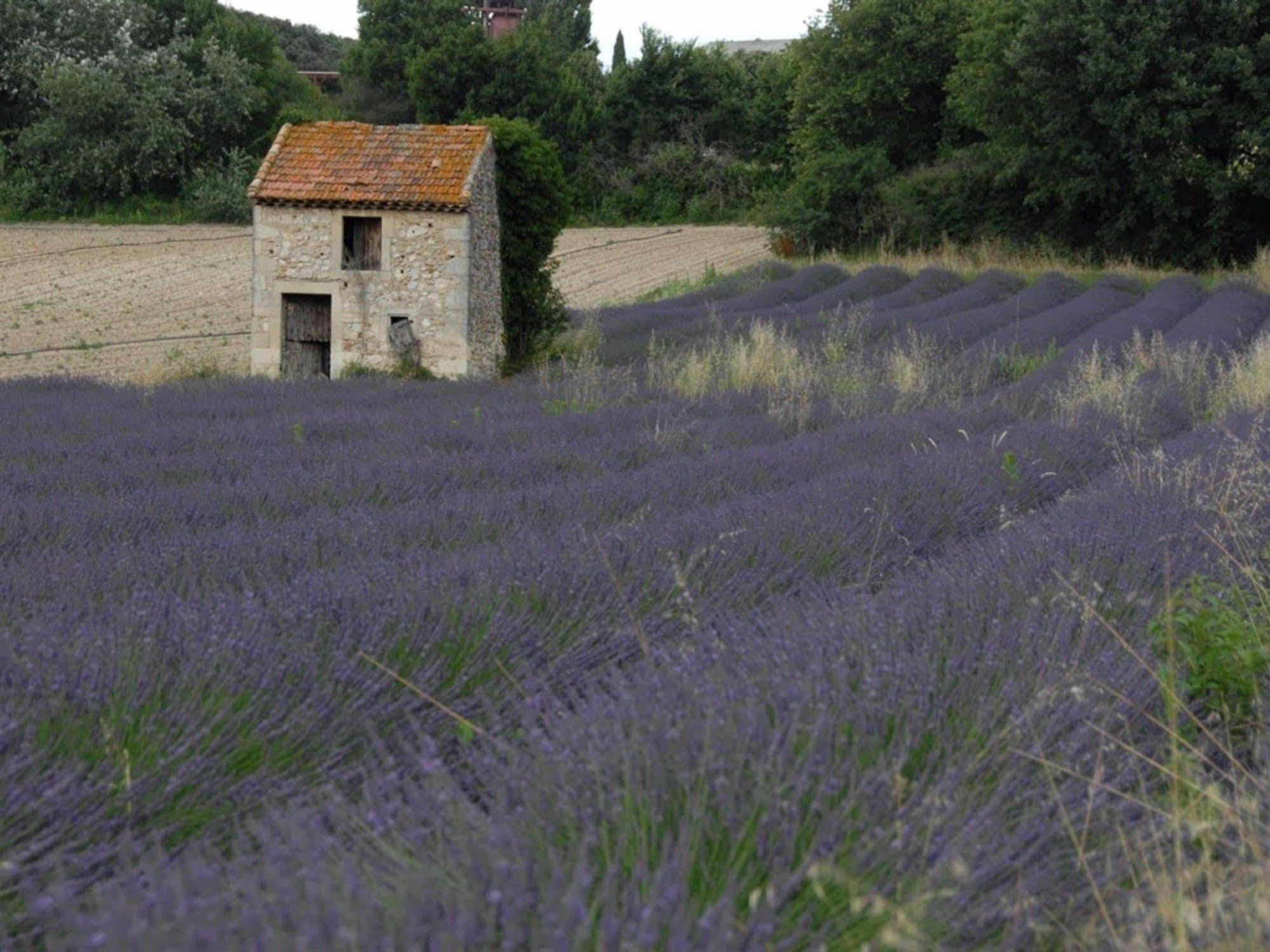 فندق La Deviniere Donzère المظهر الخارجي الصورة